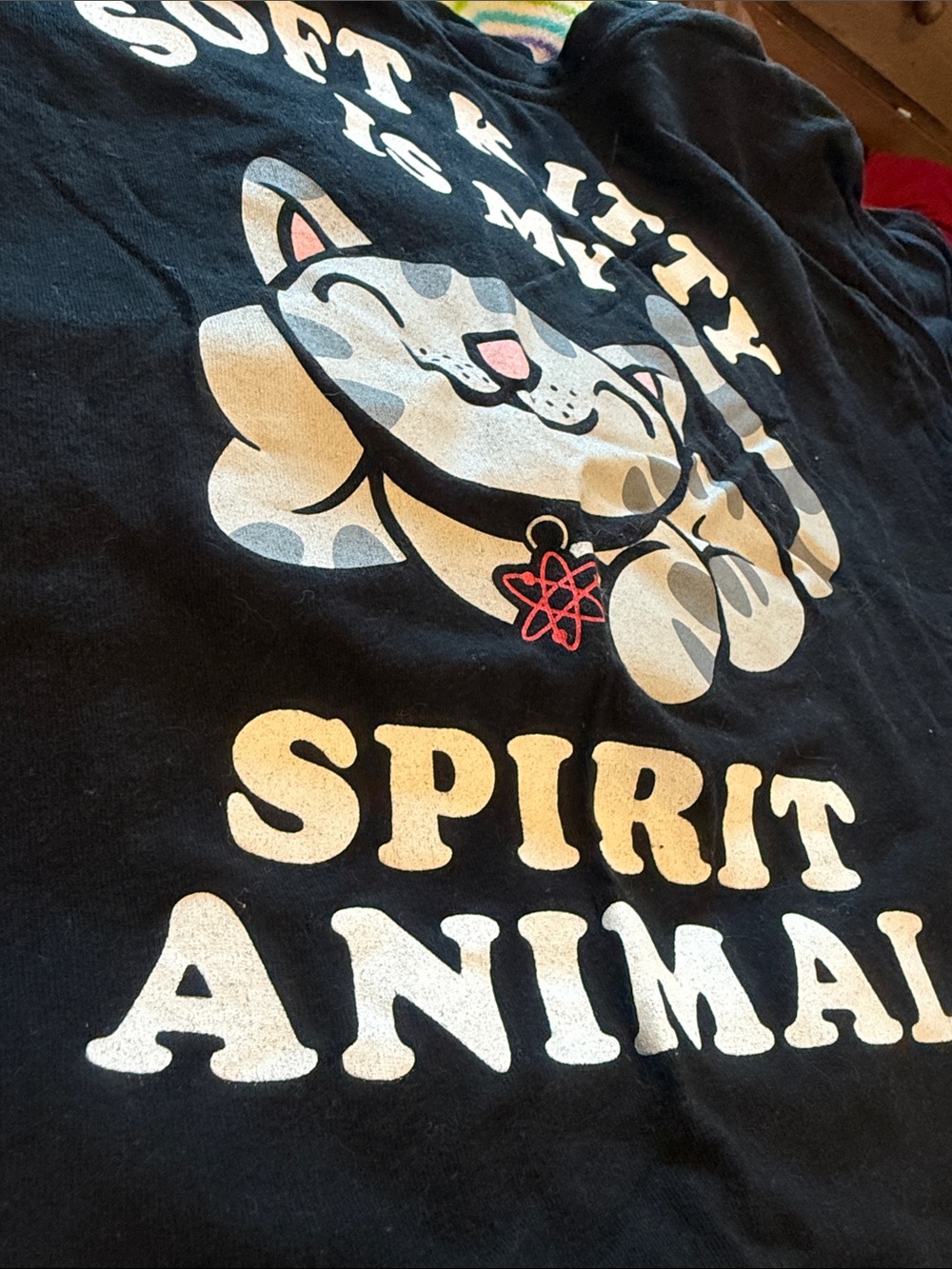 The Big Bang Theory Soft Kitty Is My Spirit Animal Graphic Tee ladies XL Black